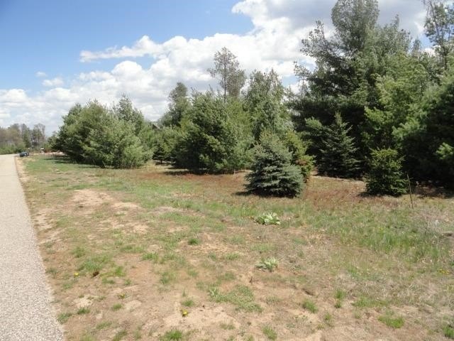 Picture 14