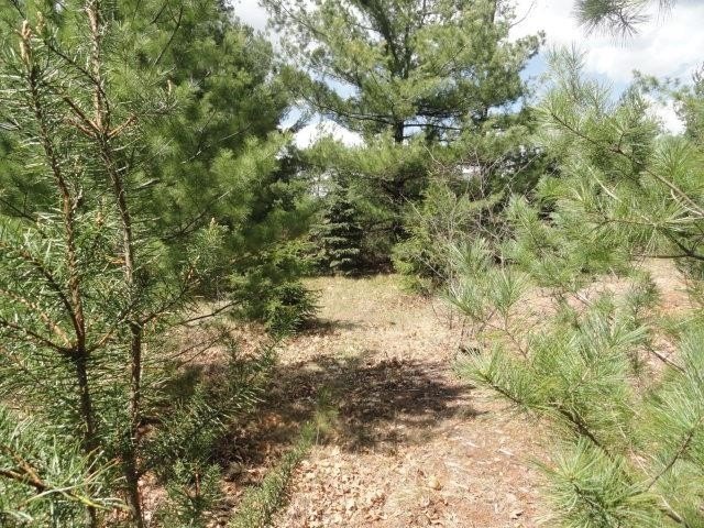 Picture 36