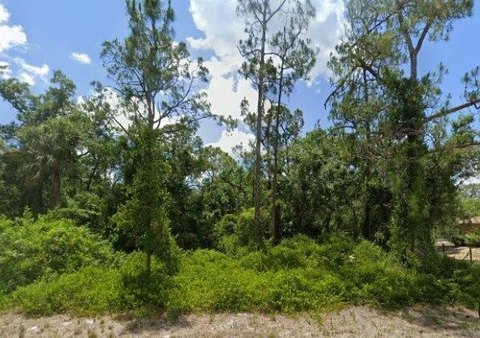 Land & Docks, Alva, FL
