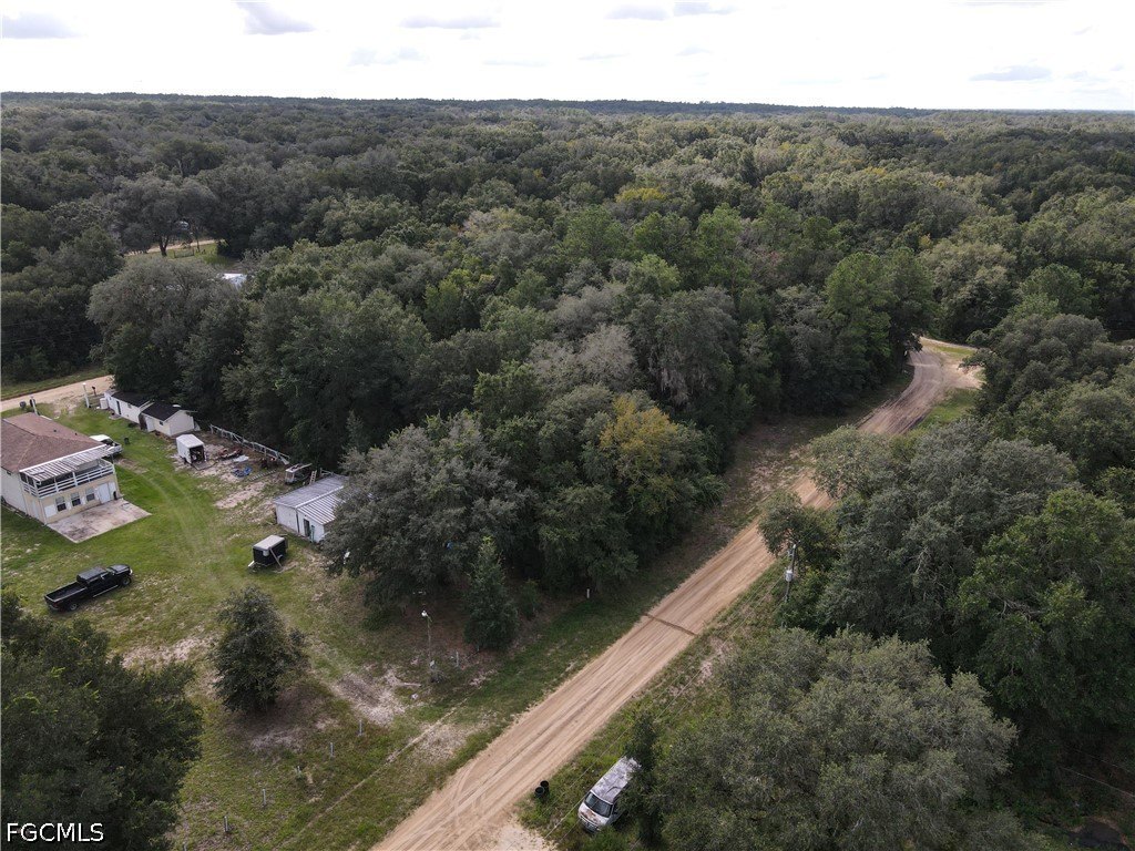Picture 27