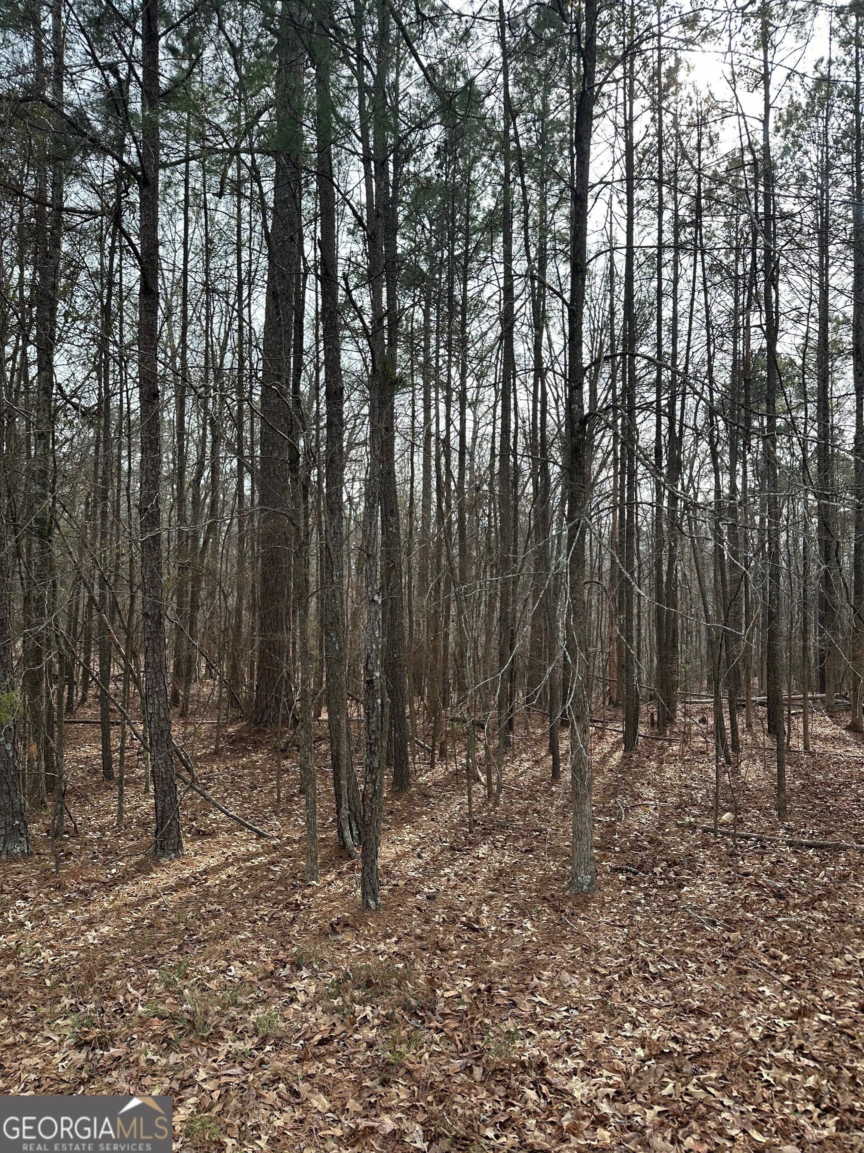 20 Acres Wooded Land Parcel