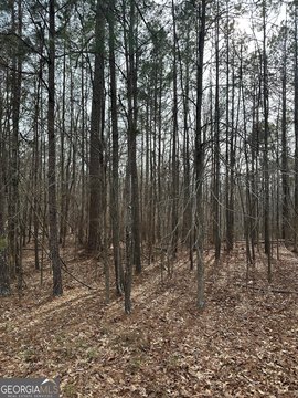 LAND - Jackson, GA