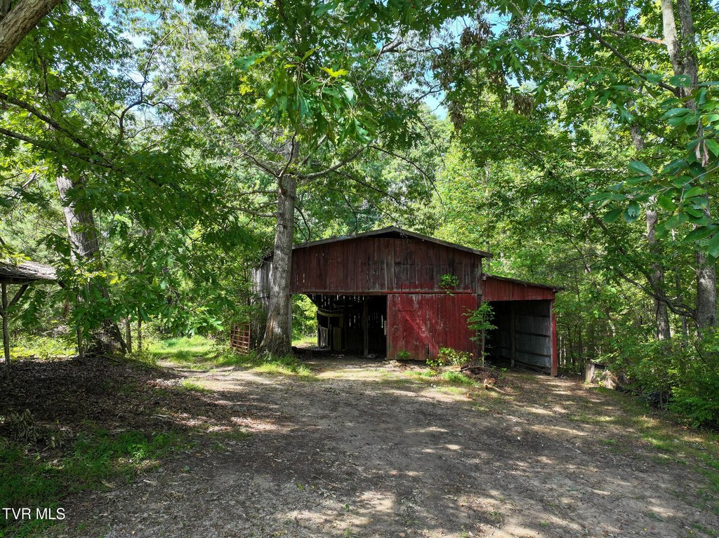 Picture 6
