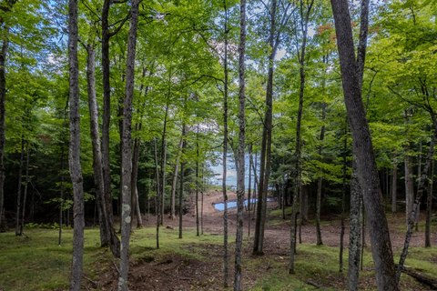 Land, Harshaw, WI