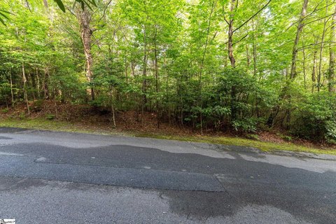 Cliff Ridge Homesite Opportunity
