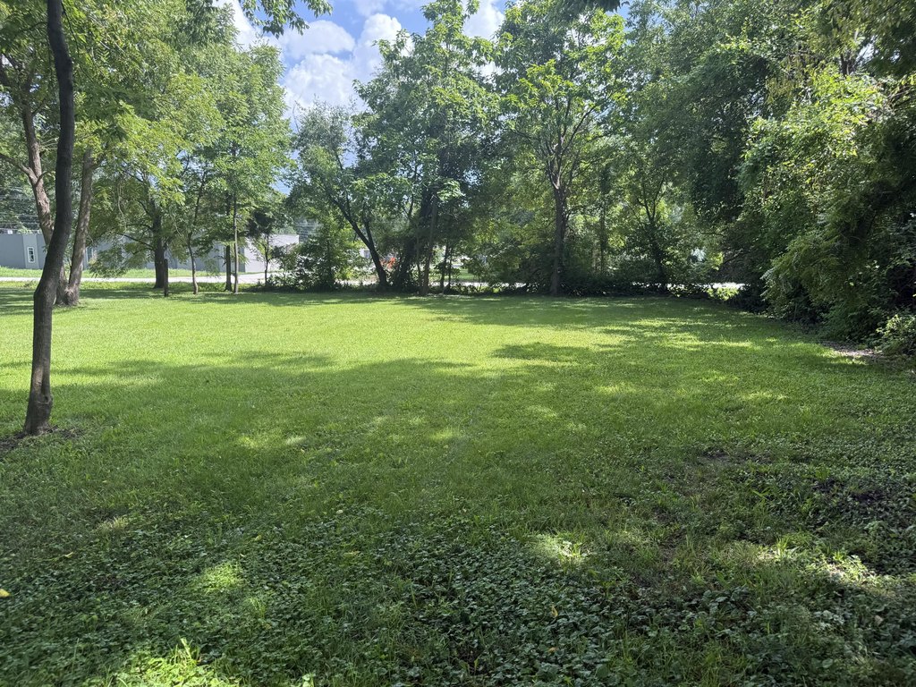 Picture 5
