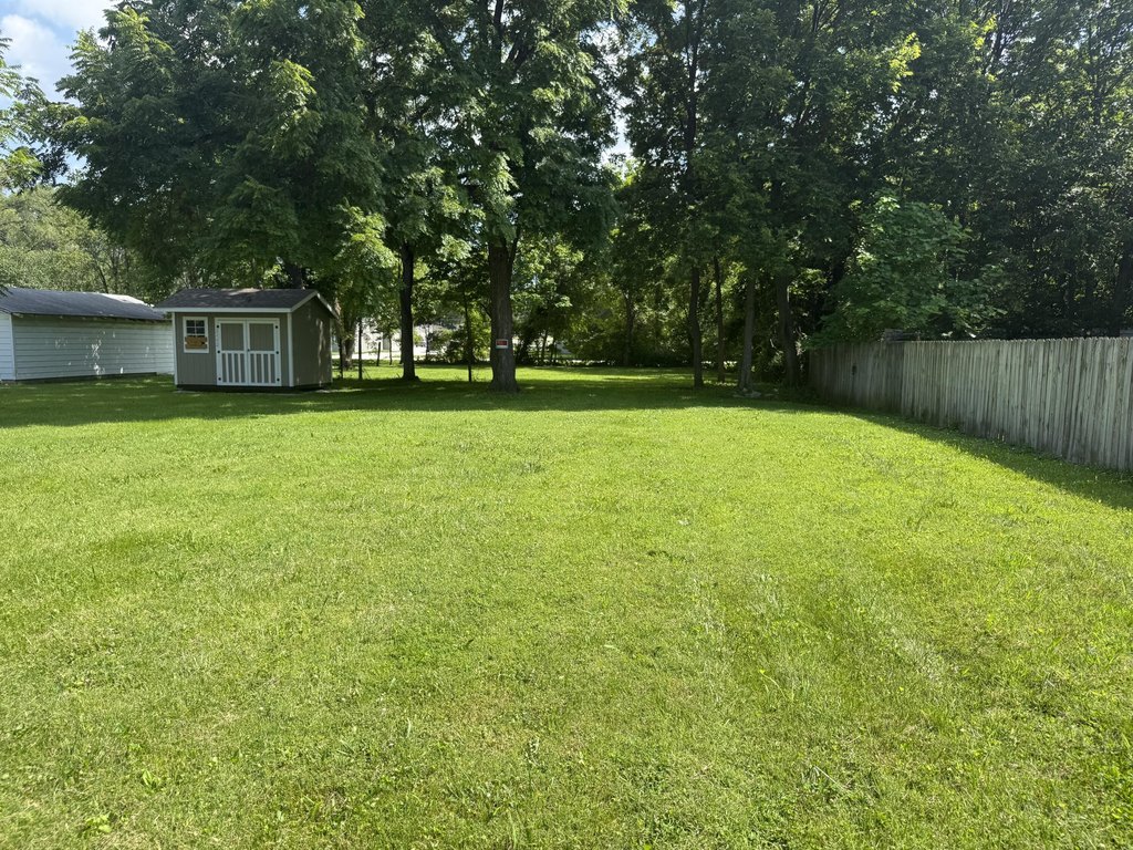 Picture 3