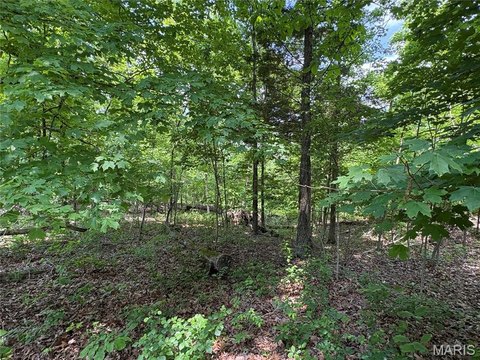 LAND - Perryville, MO