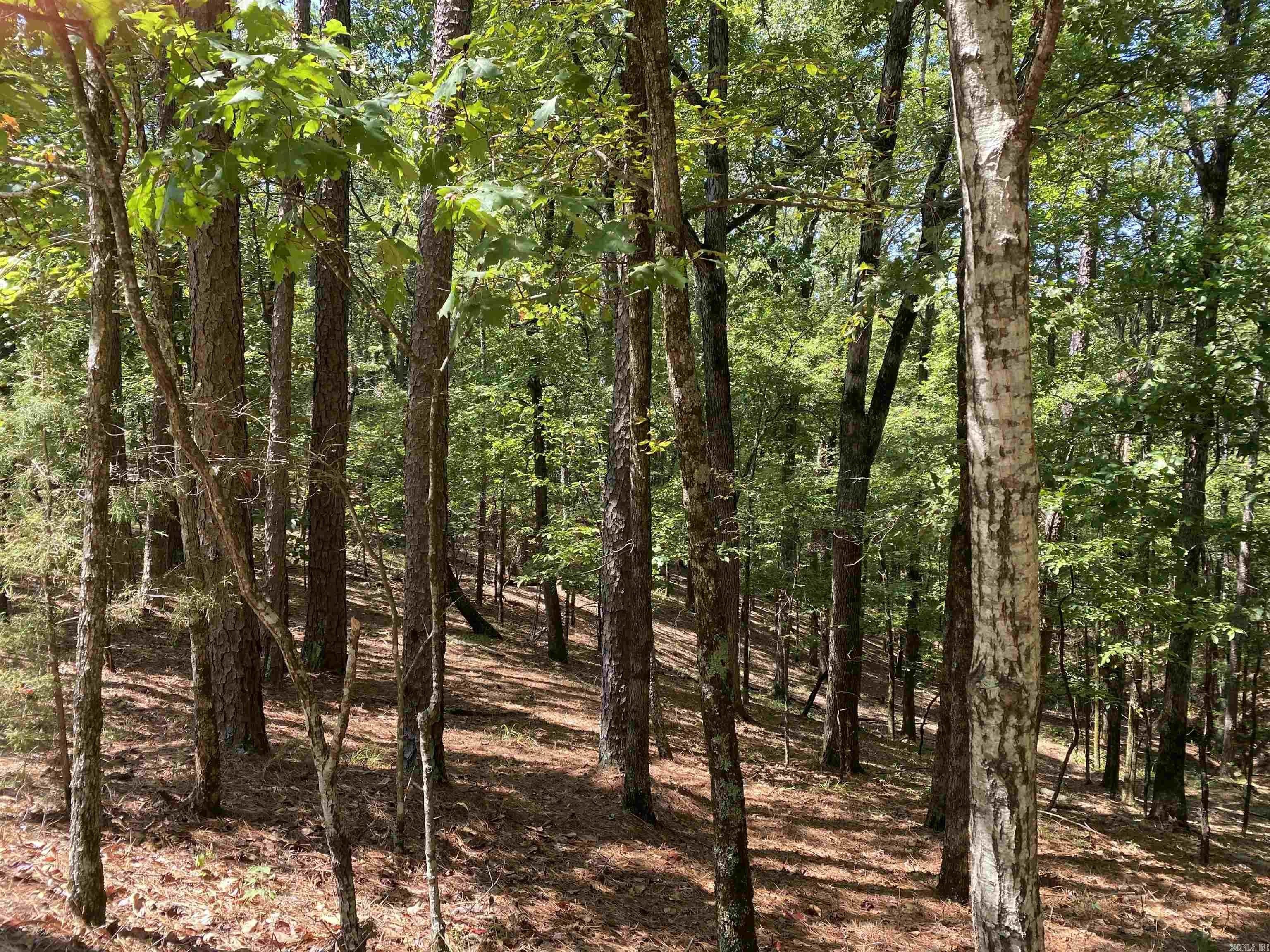Mount Ida Land For Sale