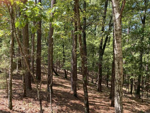 Mount Ida Land For Sale