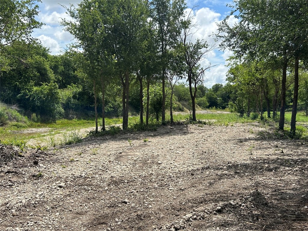 Picture 15