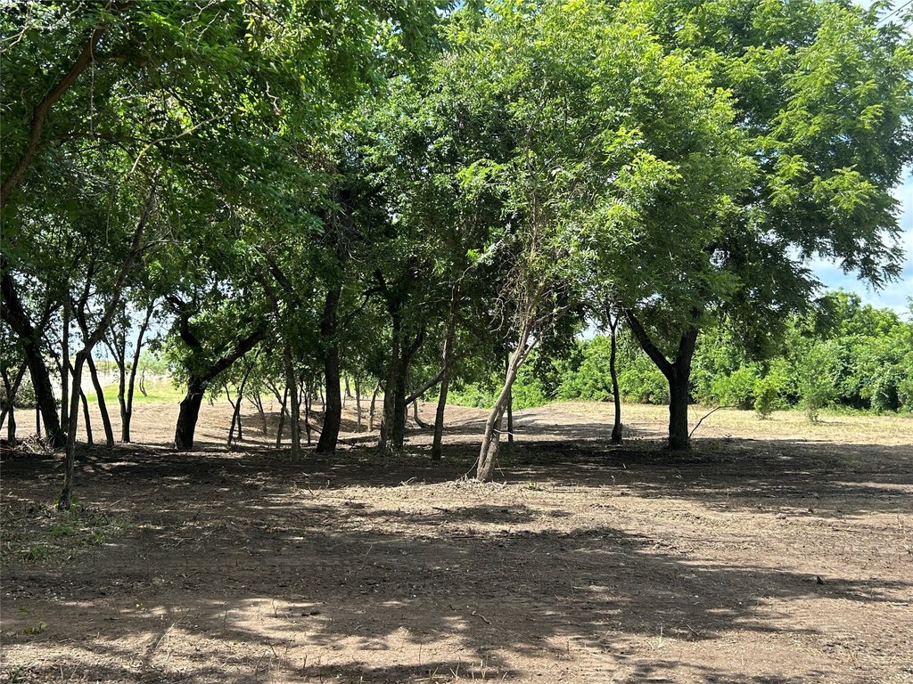 Picture 22
