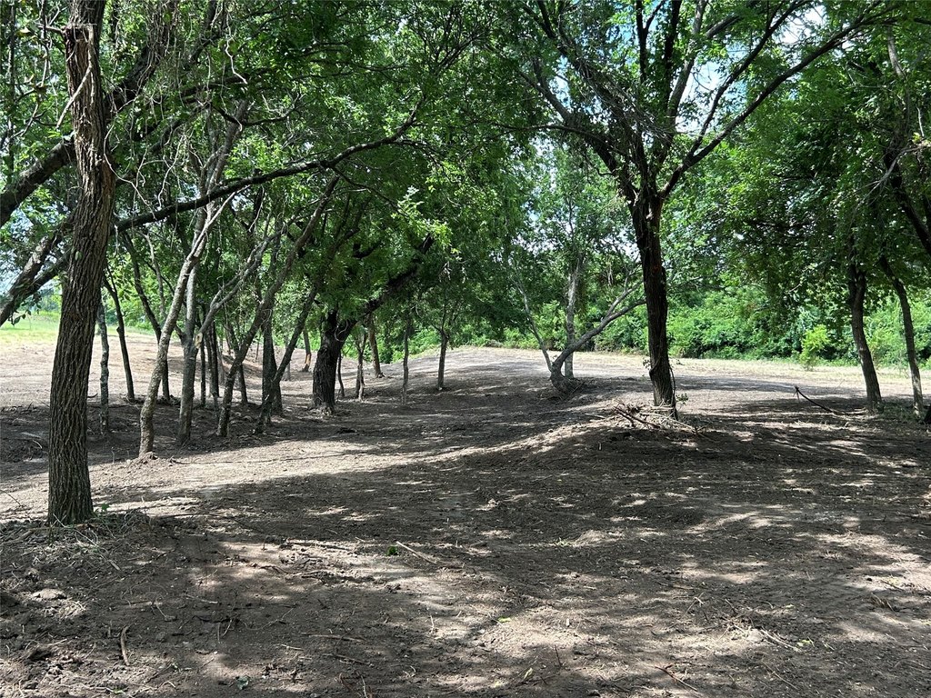 Picture 23