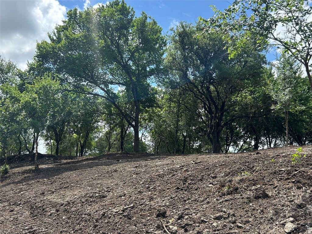Picture 25