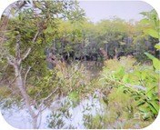 Land, Seminole, AL