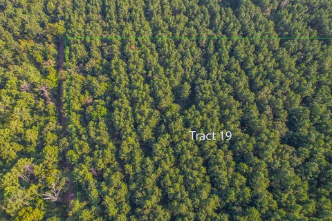 Timber-Production Farmland Tract