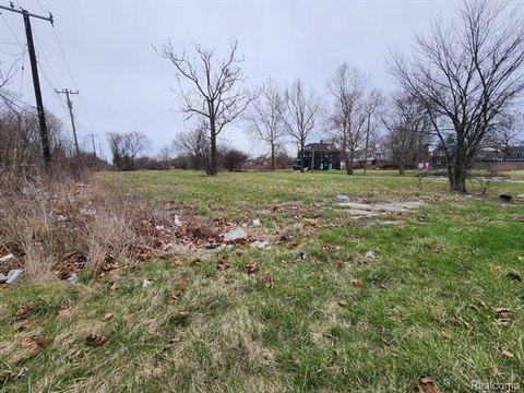 Detroit Land Bundle Opportunity