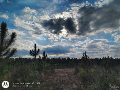 LAND - Jay, FL