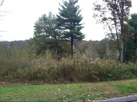 Shippenville, PA Building Lot