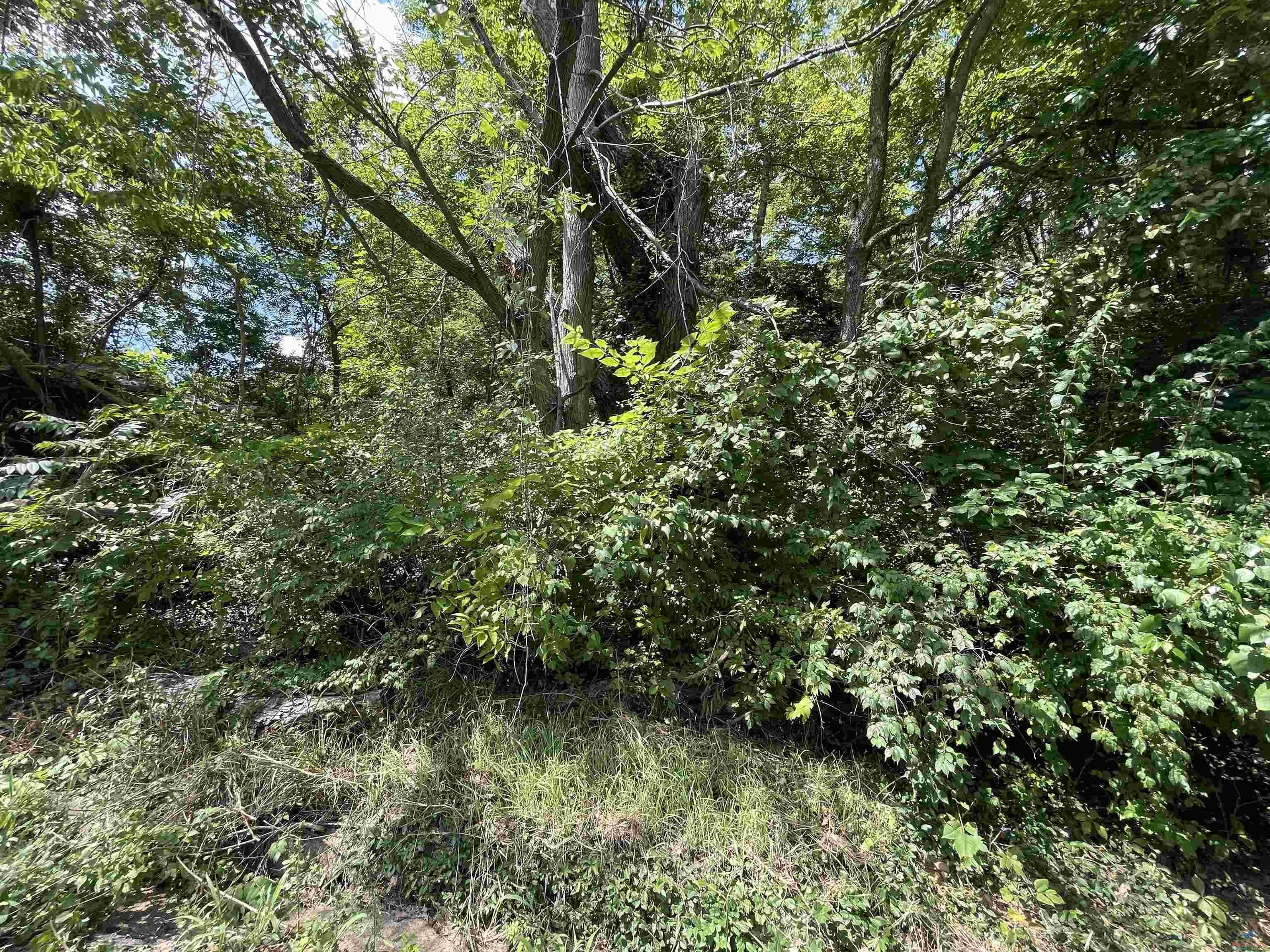 Vacant Lot Near Downtown Sedalia