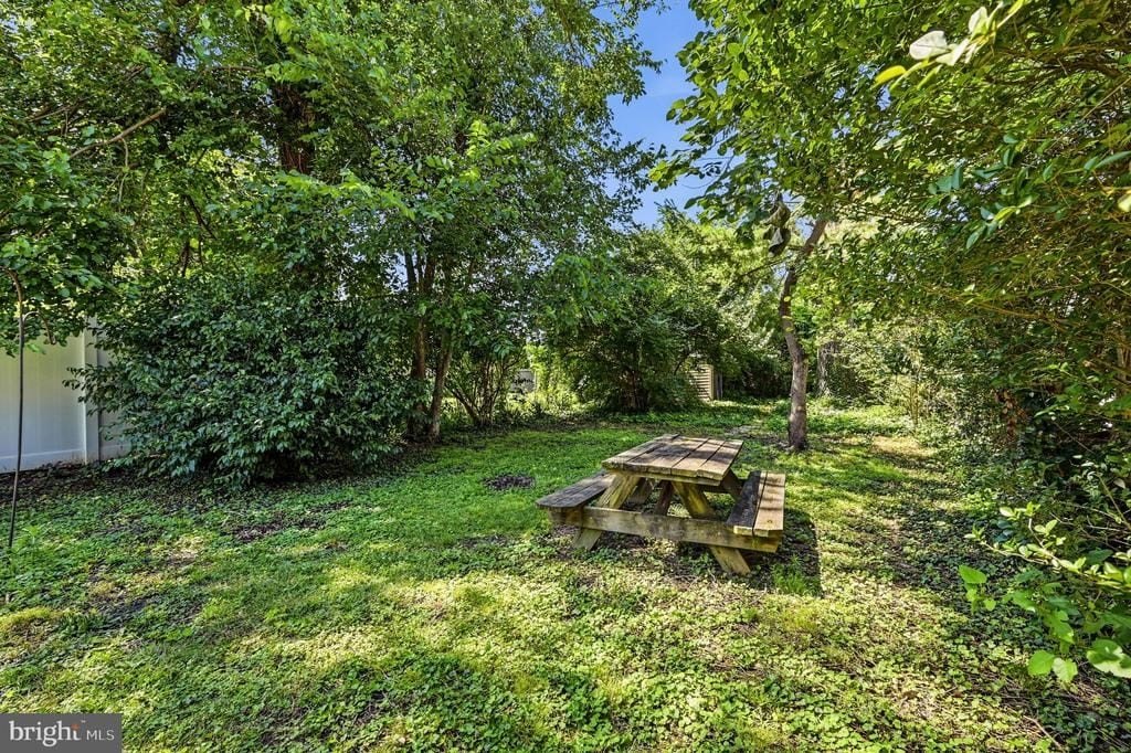 Picture 25