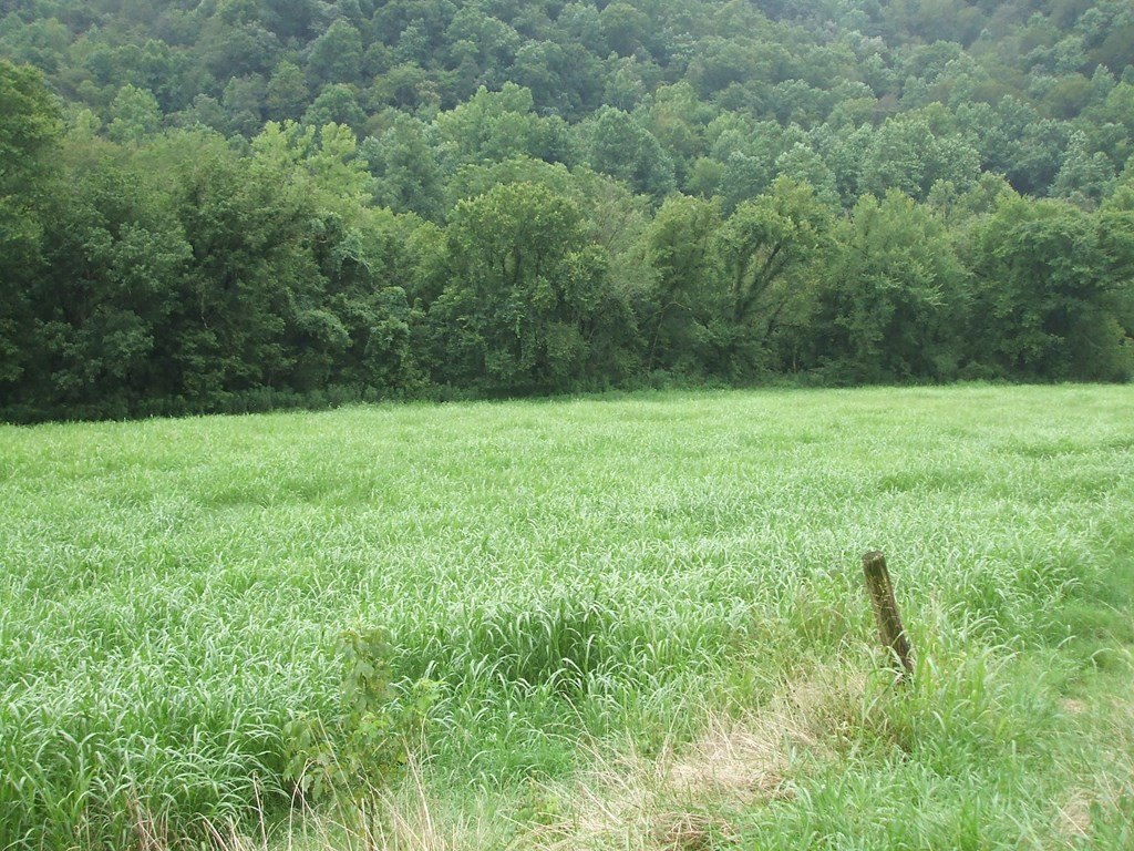 Picture 2