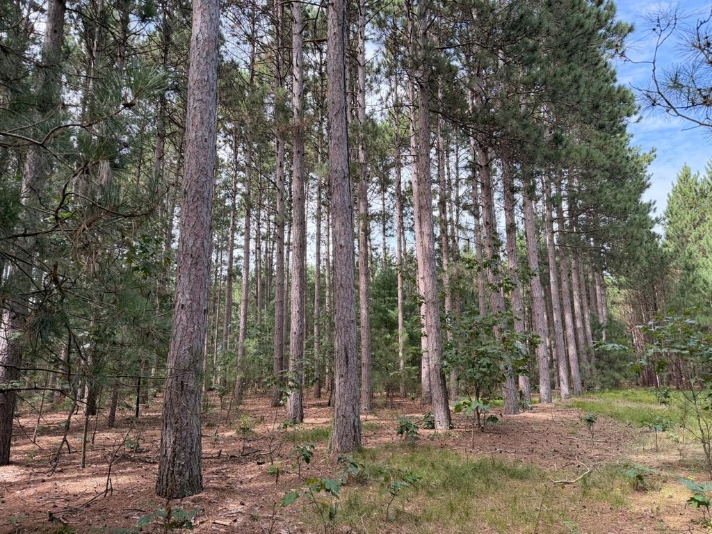 Picture 28