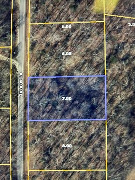 Land, BIG SANDY, TN
