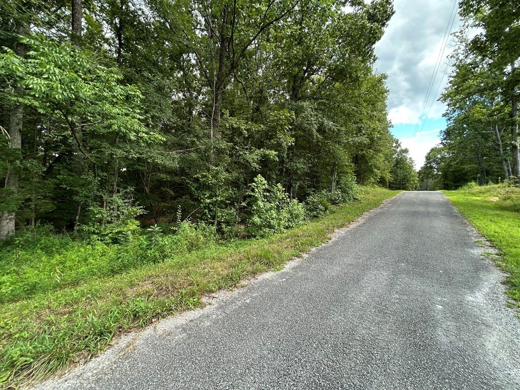 Picture 3