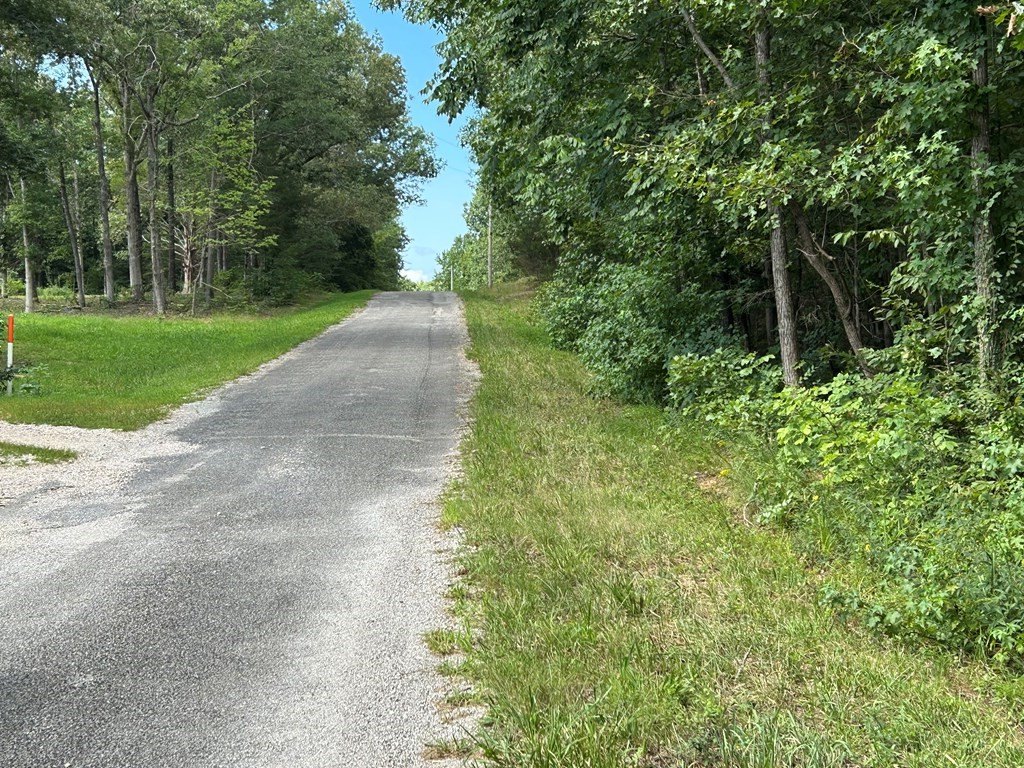Picture 4