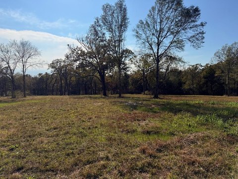 Eustace TX Land on Highway