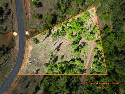 Waterfront Land at Big Rock Lake
