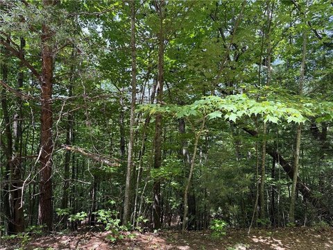 LAND - Purlear, NC