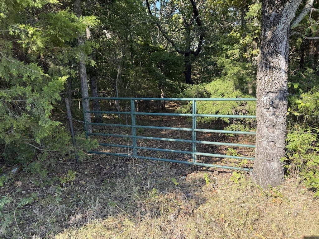 Picture 23