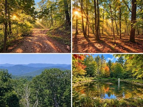 Land, Ellijay, GA