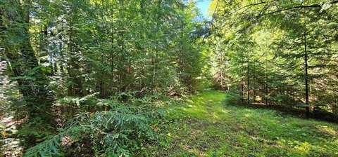 Mercer Lakefront Land Opportunity