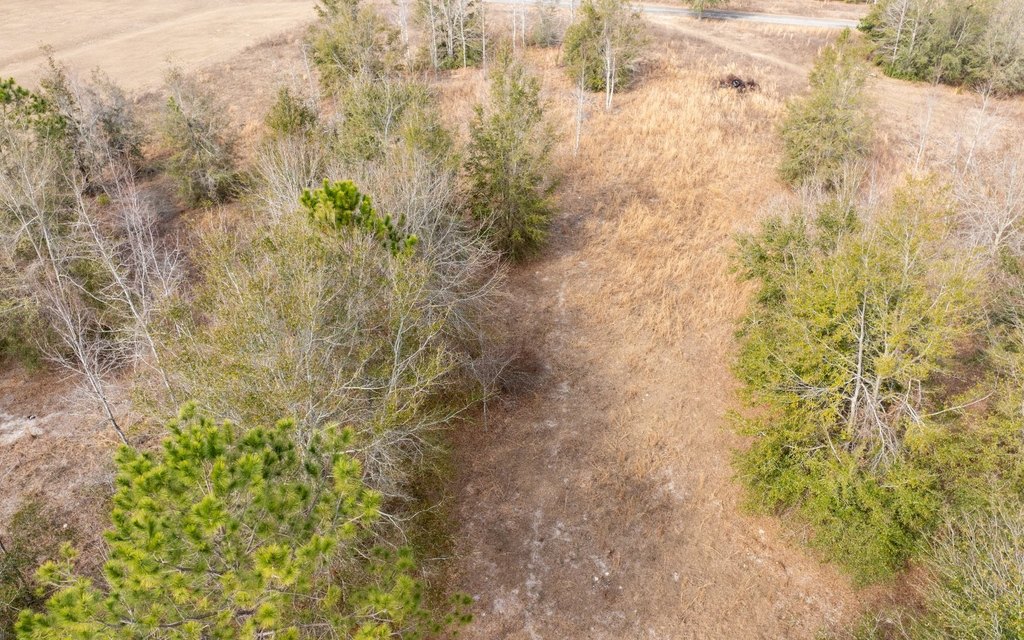 Picture 4