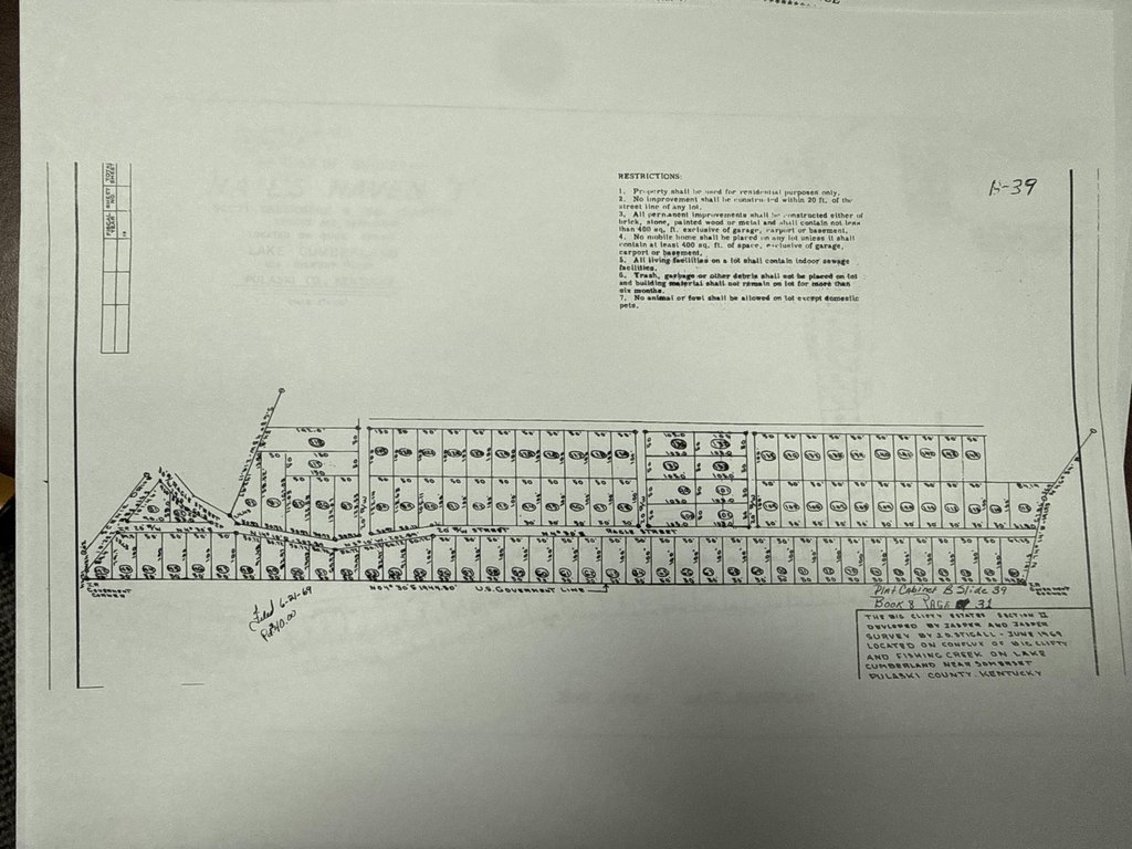 Picture 20