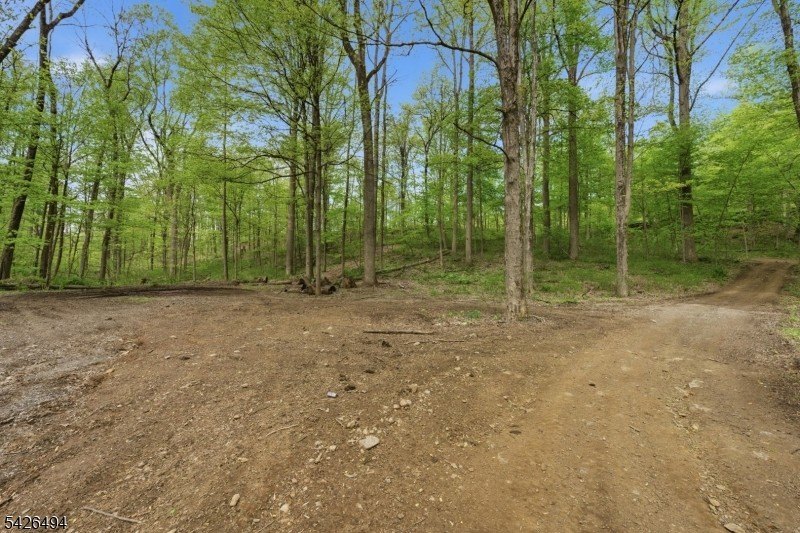 Picture 15