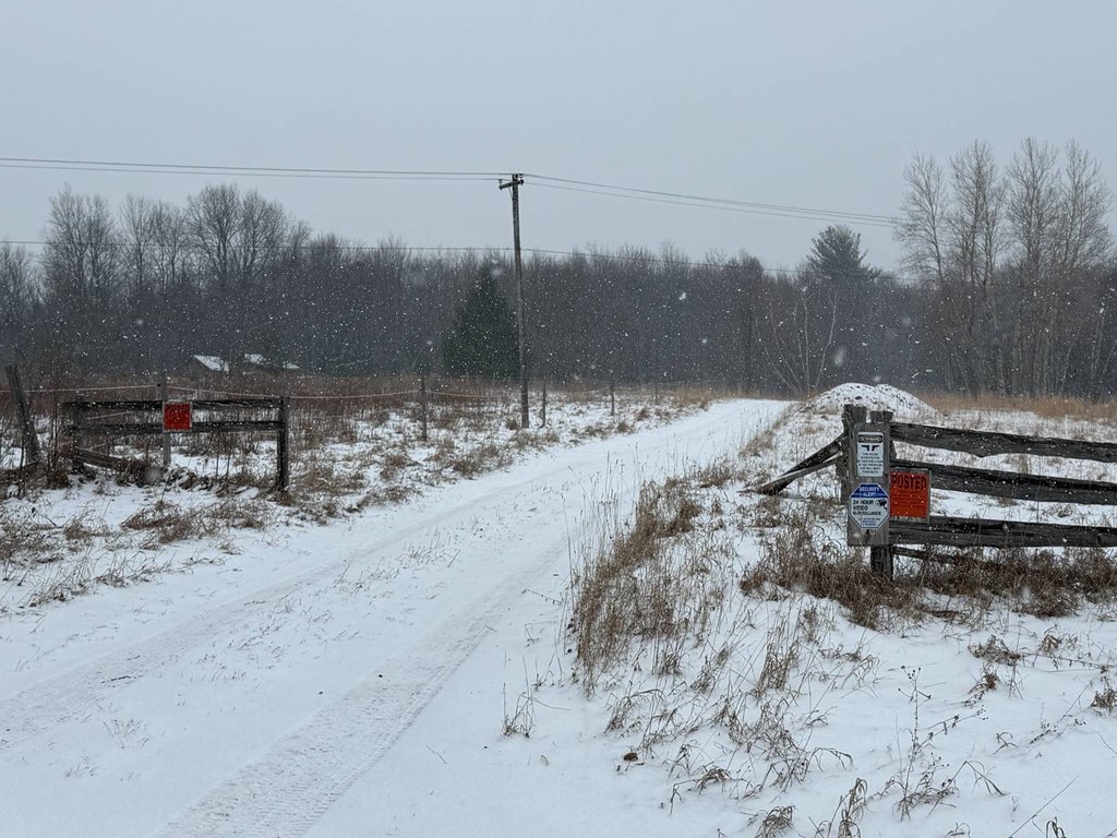 Picture 66