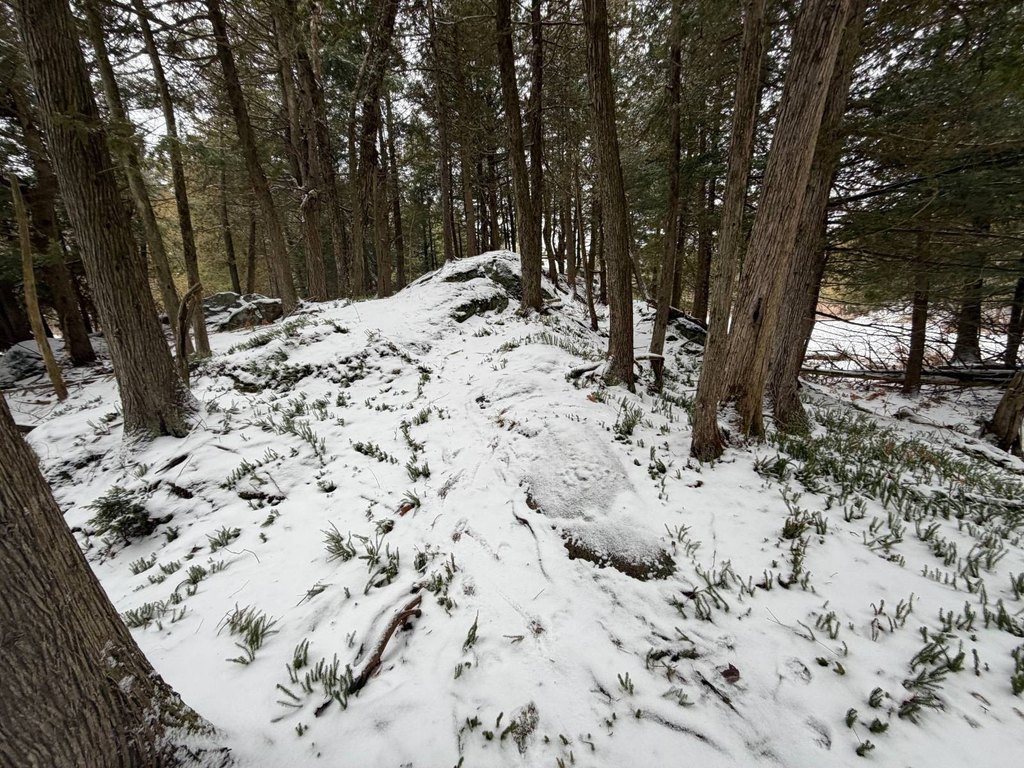 Picture 43