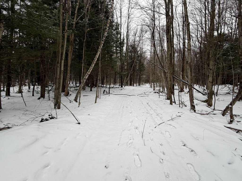 Picture 29