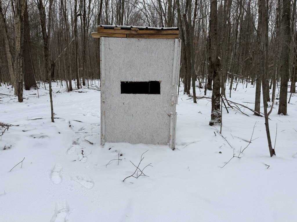 Picture 45