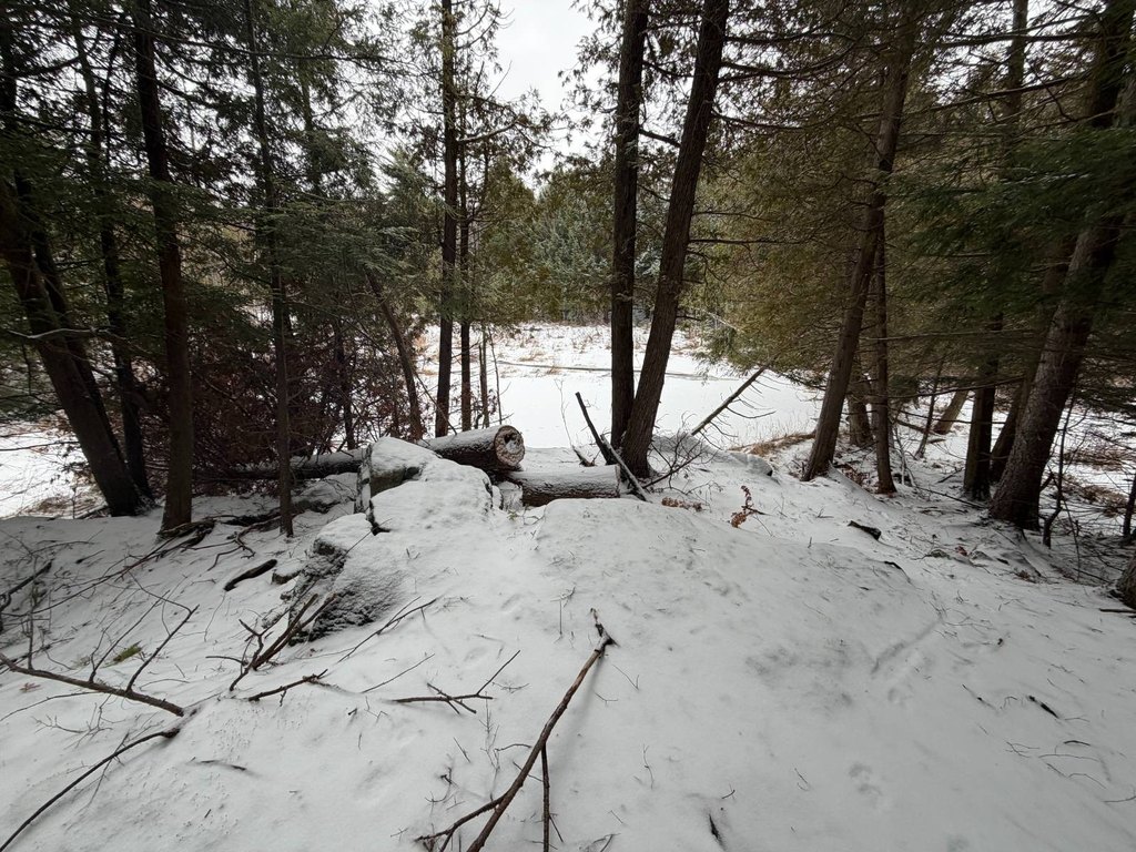 Picture 41