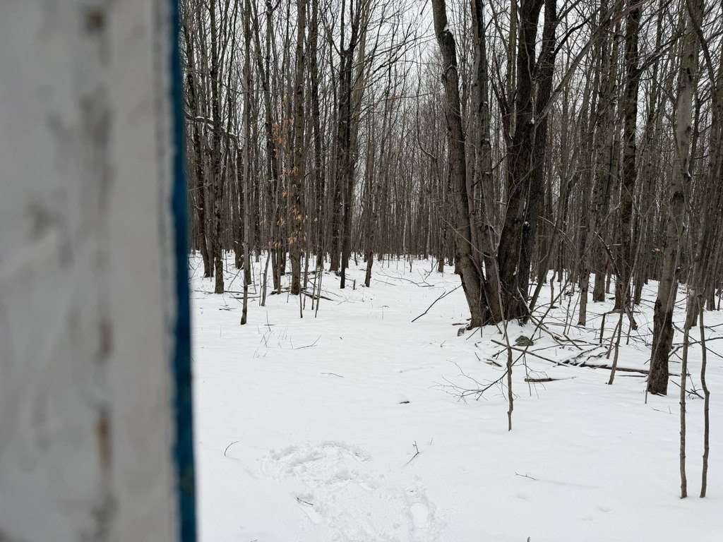Picture 47
