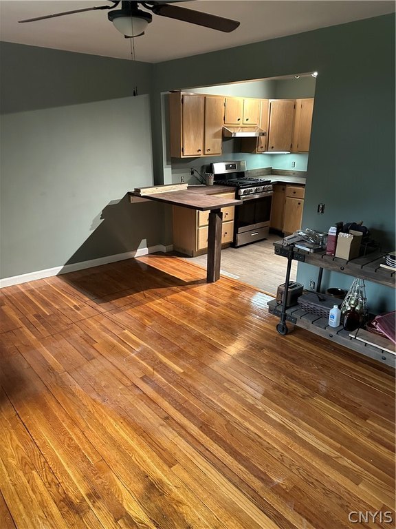 Picture 25
