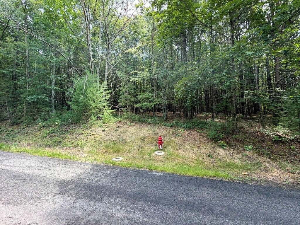 Picture 18