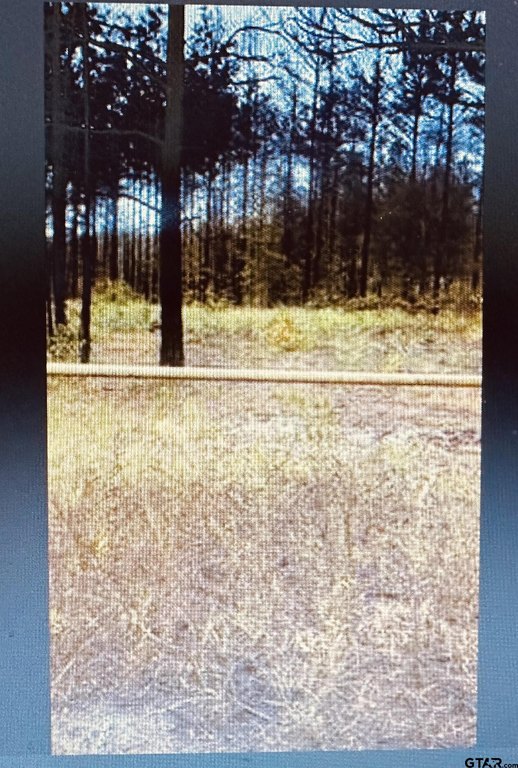 Picture 2