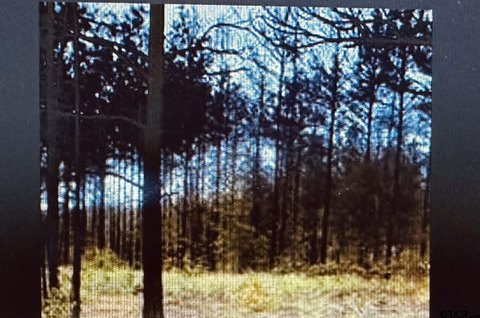 Land, Overton, TX