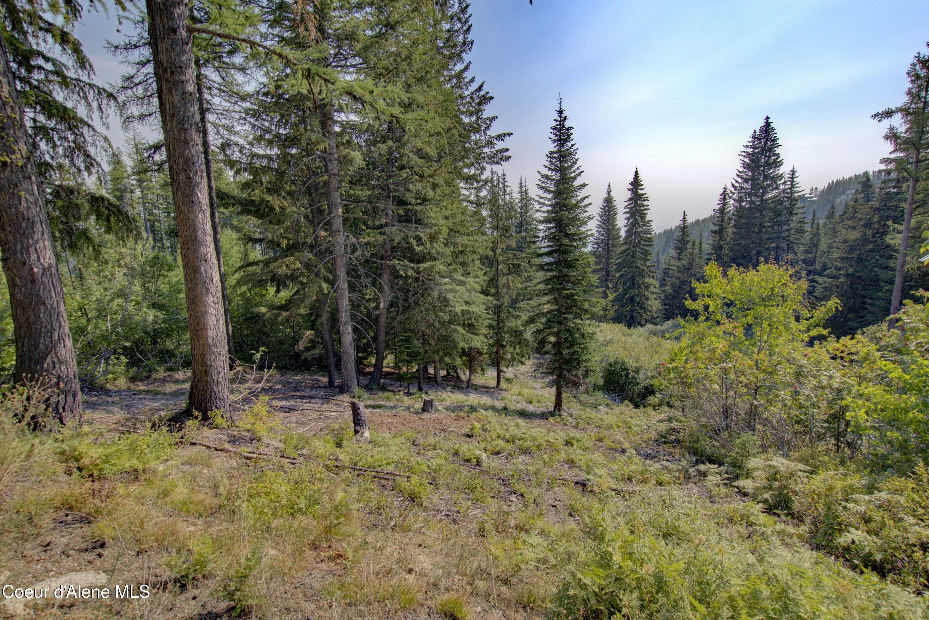 Schweitzer Mountain Resort Land